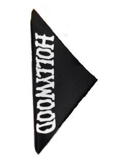 Hollywood Hogan Bandana - Image 3